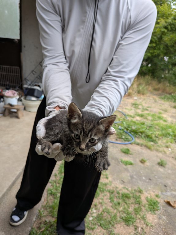 ネズミを食べていた子もいました