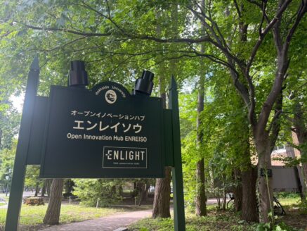 映画「犬と戦争」の上映会場となった北海道大学構内のエレインソウ