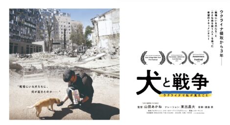 映画「犬と戦争」広告
