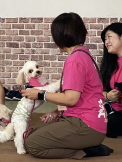 アグリドッグレスキュー保護犬譲渡会