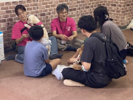 アグリドッグレスキュー保護犬譲渡会