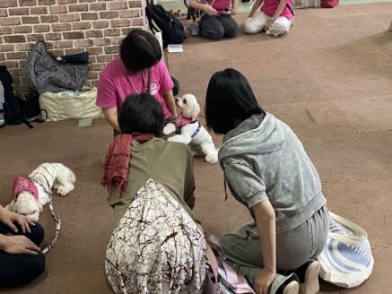 アグリドッグレスキュー保護犬譲渡会