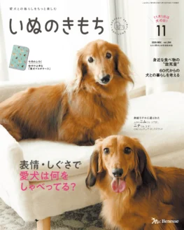いぬのきもち　2014年6月号vol.145 2026年11月号「いぬのきもち」「ねこのきもち」にて、シニア for