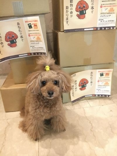 映画 犬ヶ島 とのコラボ寄付企画スタート Animal Donation 日本初 動物のためのオンライン寄付サイト