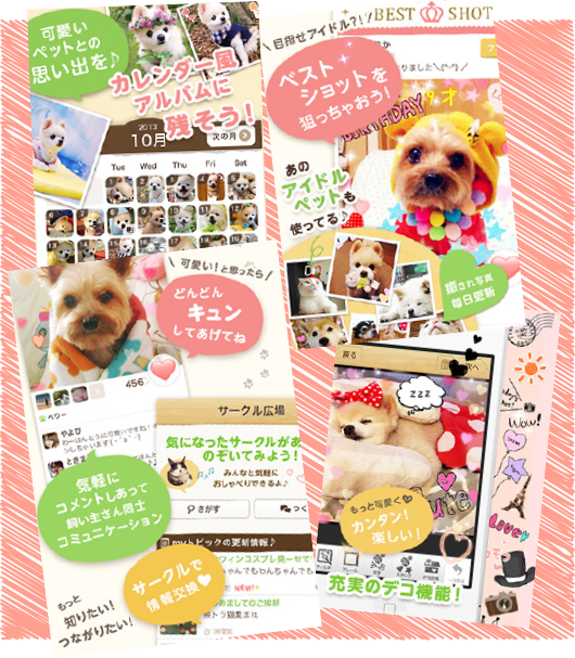 「パシャっとmyペット」アプリイメージ
