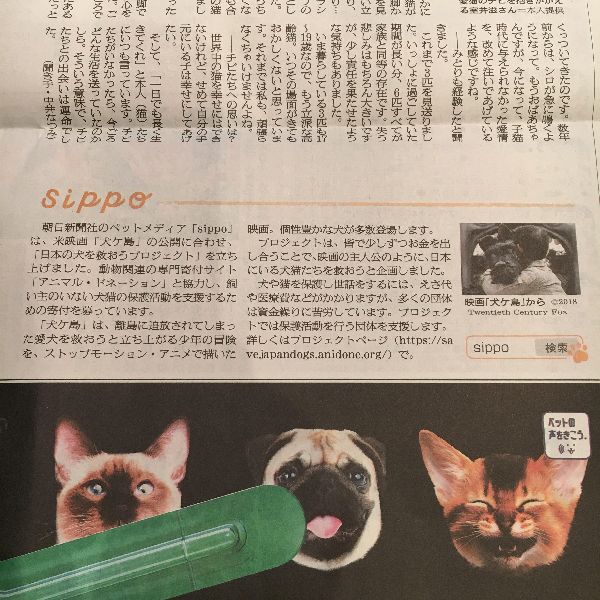 asahinewspaper11.jpg