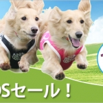 dogsale_banner.jpg