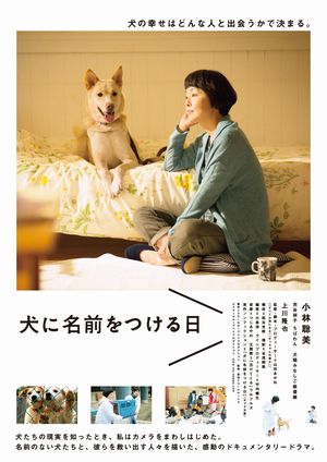 interview06