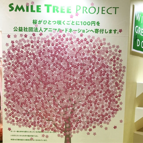 smile tree.JPG