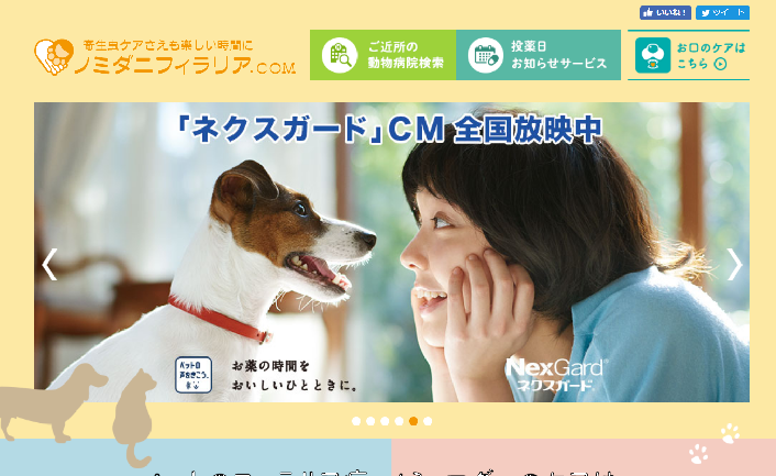 スクリーンショット (19).png