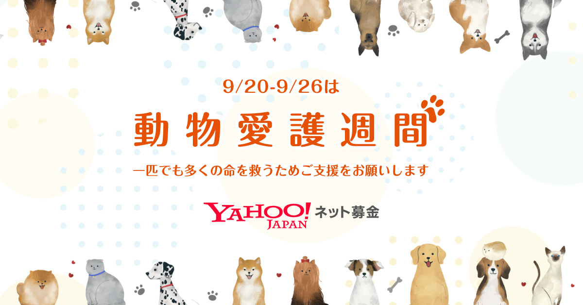9/20~9/26は動物愛護週間 1匹でも多くの命を救うためご支援をお願いします
