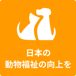 日本の動物福祉の向上を