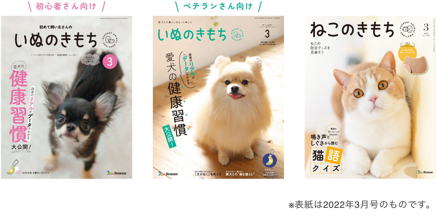 雑誌掲載リスト