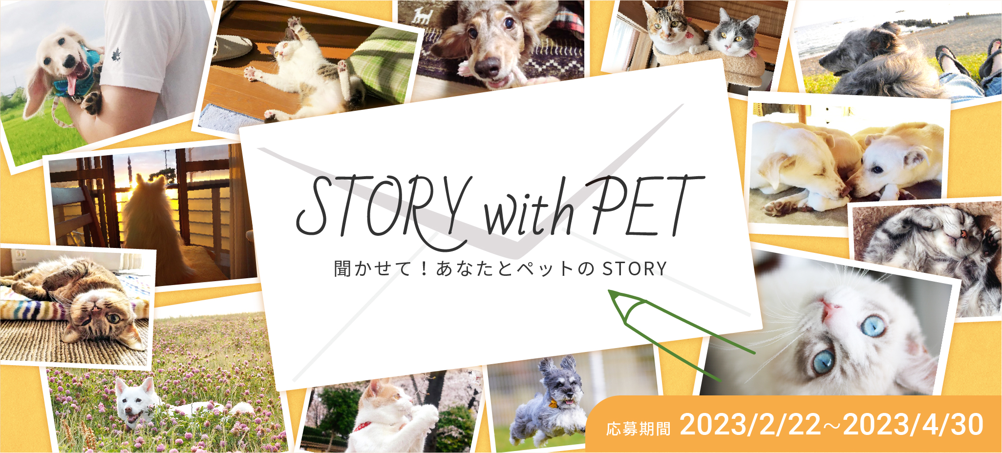 聞かせて！あなたを＜幸せ＞にする Pet(ペット)のストーリー | STORY