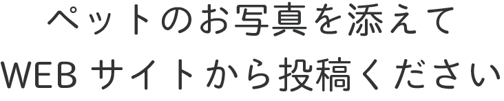 ほっこりする話、泣ける話、笑える話…。ペットへの愛をここぞとばかりに語ってみませんか？