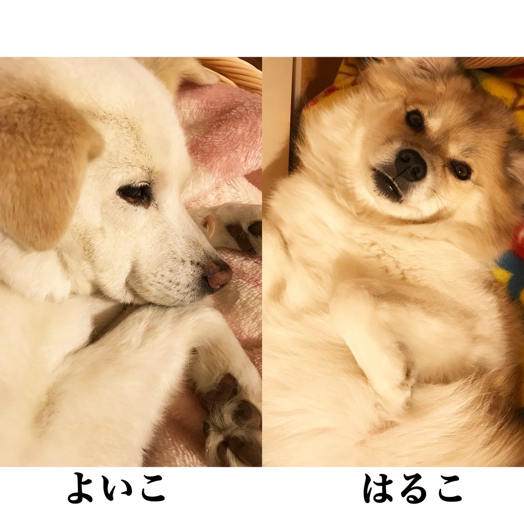 My Image 60