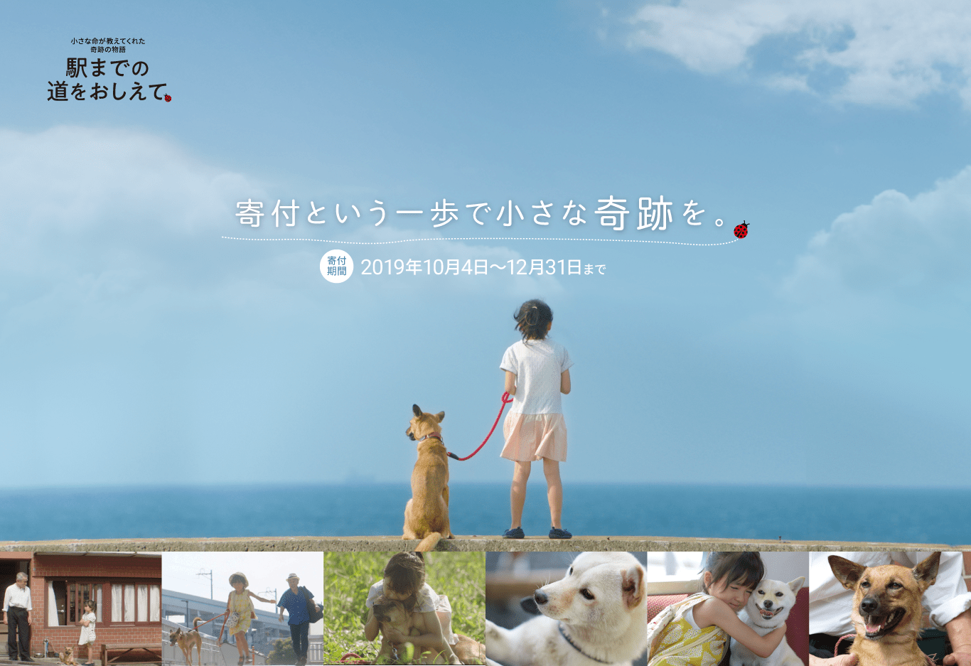 映画 駅までの道を教えて X アニマル ドネーション コラボ企画 寄付という一歩で小さな奇跡を