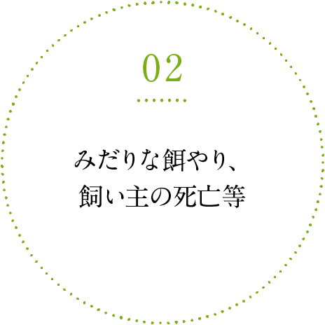 知識の欠如 不妊去勢の必要性・正しいしつけを知らなかった等