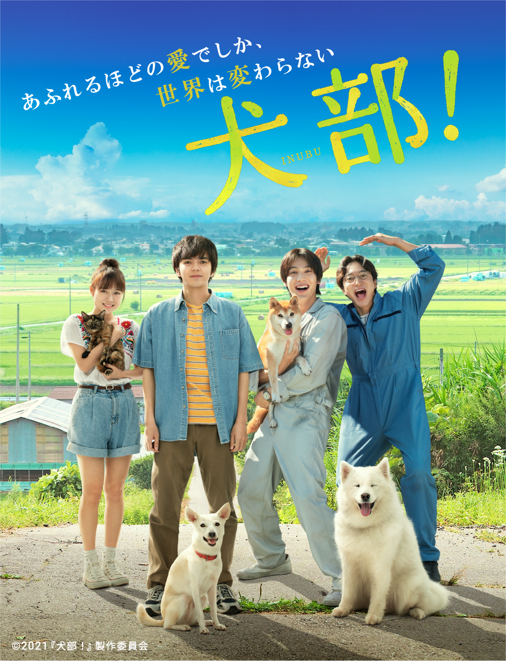 映画 犬部 公開記念キャンペーン 犬部 に入部しよう アンケートに答えて新メンバーに 映画 犬部 公開記念キャンペーン 犬部 に入部しよう アンケートに答えて新メンバーに
