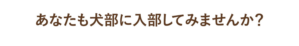 あなたも犬部に入部してみませんか？